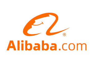 Aurora iTech - Coimbatore's Best Web & App Development Company